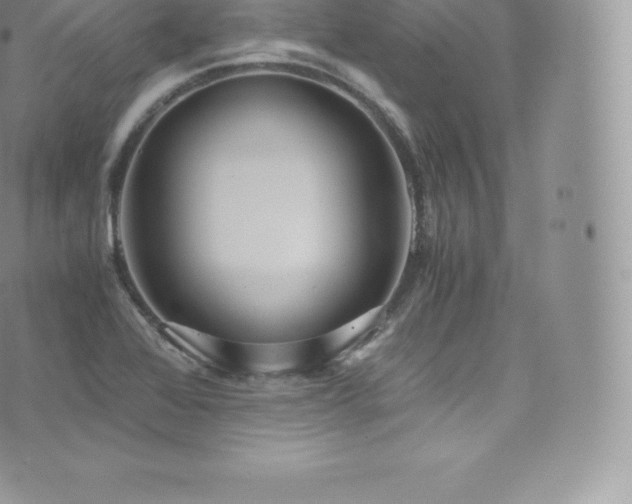 X0000073901368200608111119