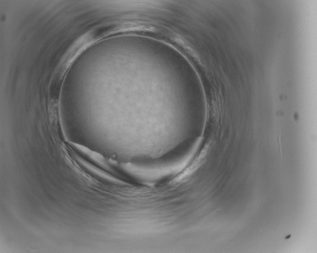 X0000073901369200608111119