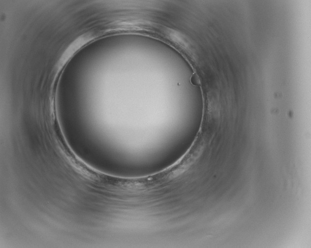 X0000073901370200608111119