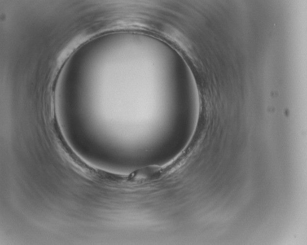 X0000073901371200608111119