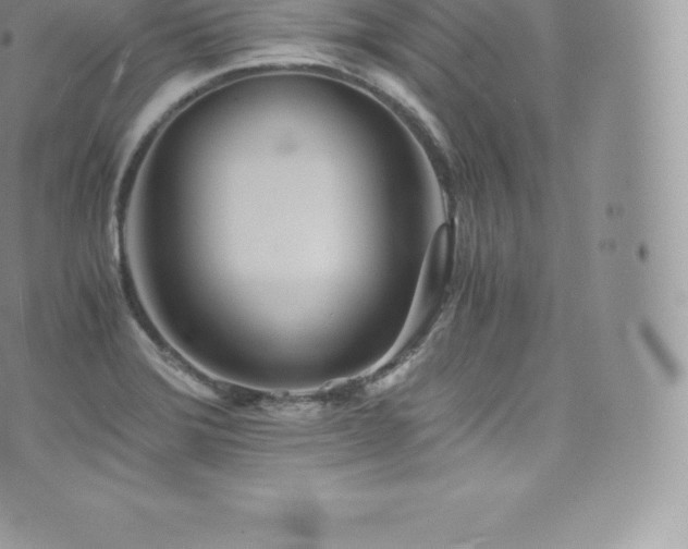 X0000073901372200608111119