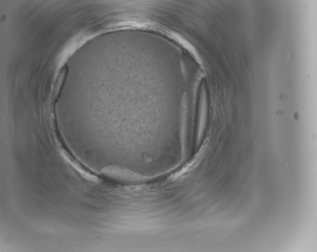 X0000073901373200608111119