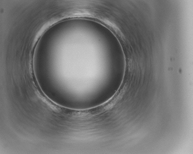 X0000073901374200608111119