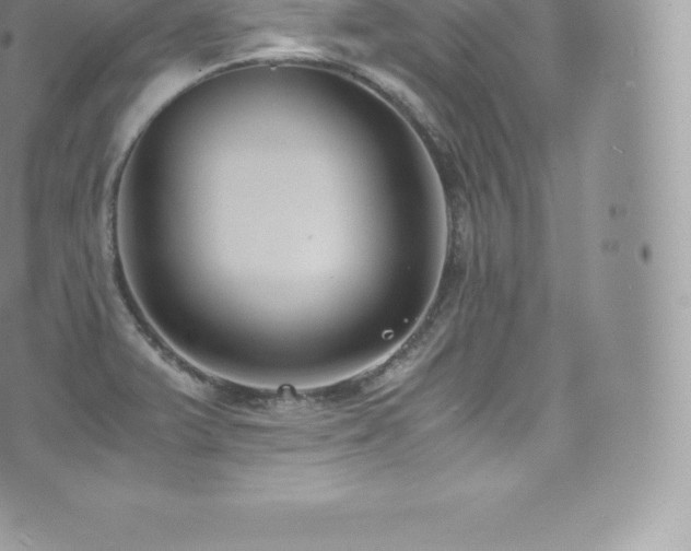 X0000073901375200608111119