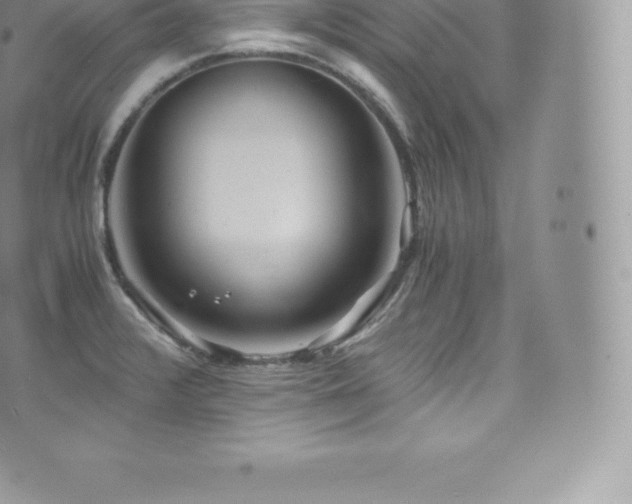 X0000073901376200608111119