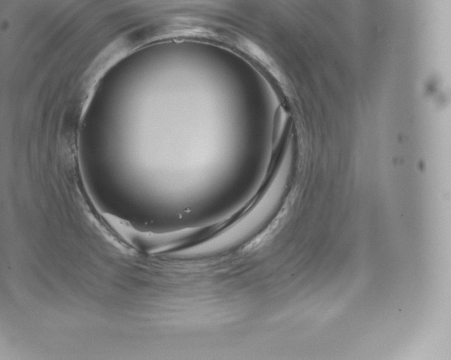 X0000073901377200608111119