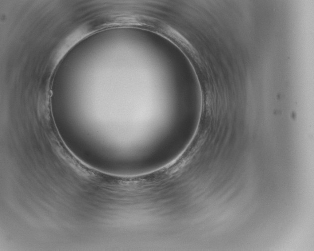 X0000073901378200608111119