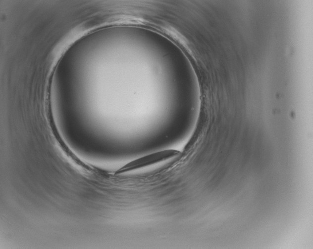 X0000073901379200608111119