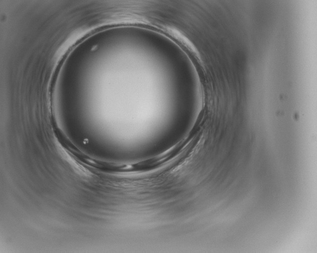 X0000073901380200608111119