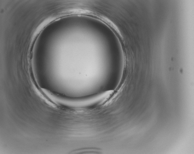 X0000073901381200608111119