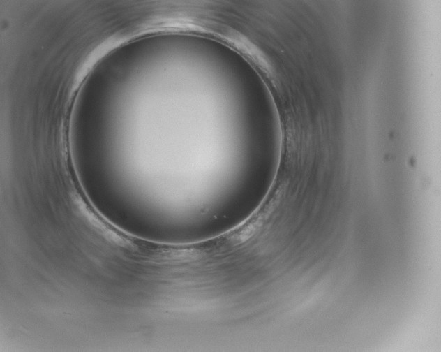 X0000073901382200608111119