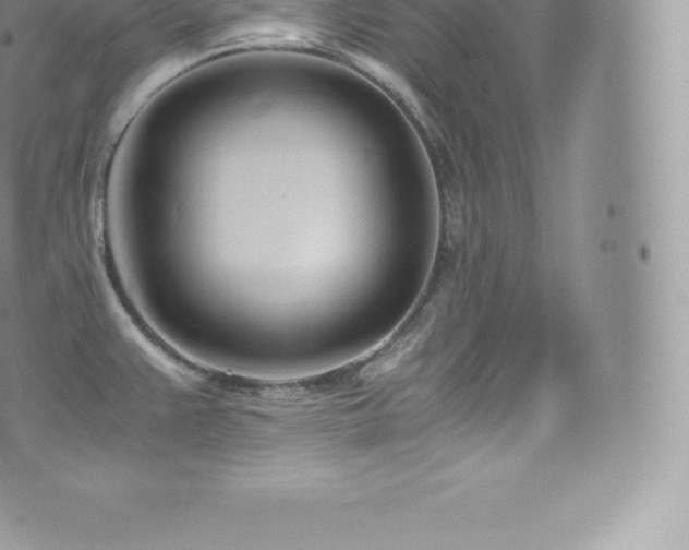 X0000073901383200608111119