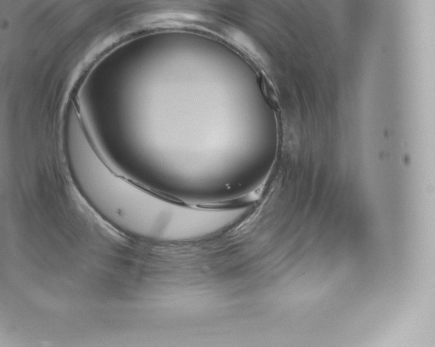 X0000073901384200608111119