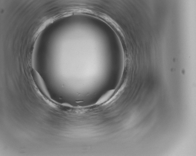 X0000073901385200608111119