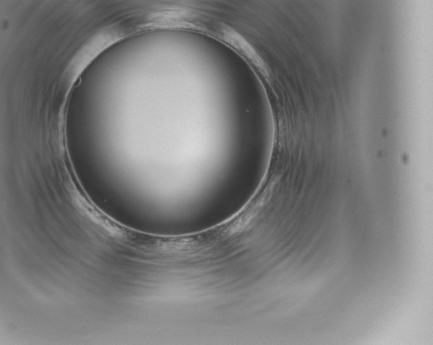 X0000073901386200608111119