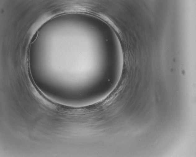 X0000073901387200608111119