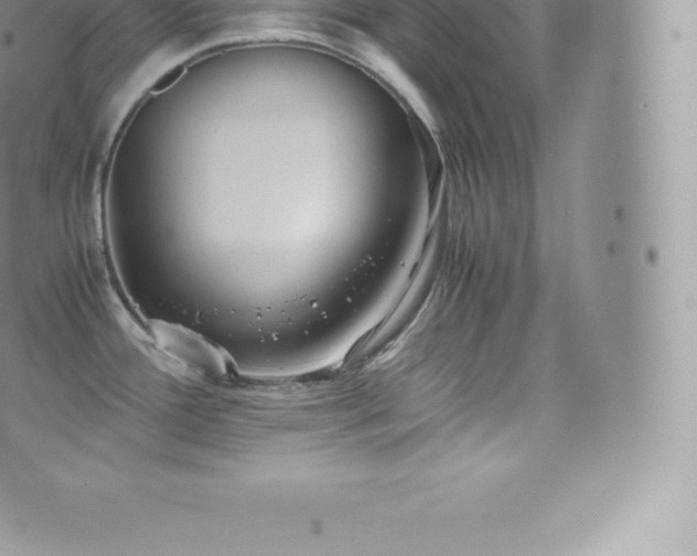 X0000073901388200608111119