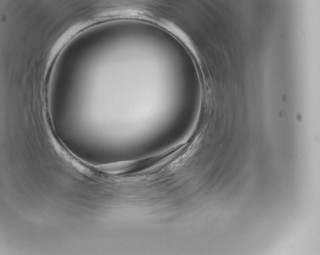 X0000073901389200608111119