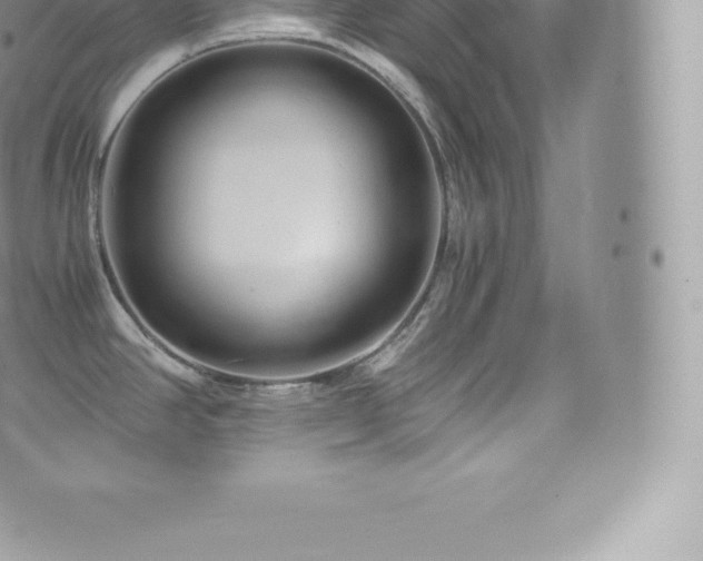 X0000073901390200608111119