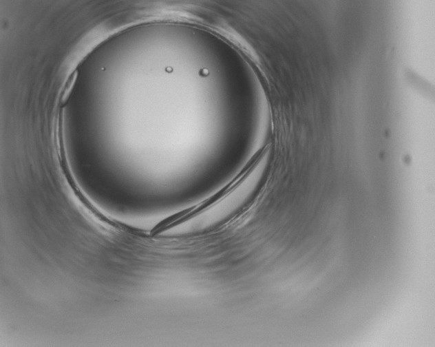 X0000073901391200608111119