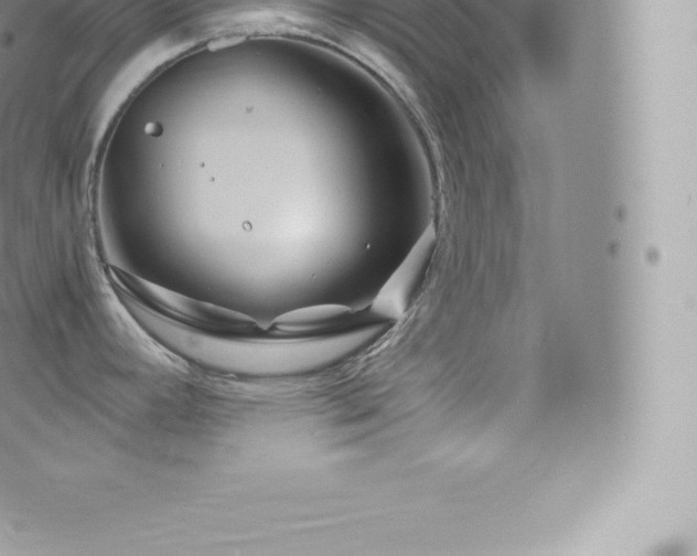 X0000073901392200608111119