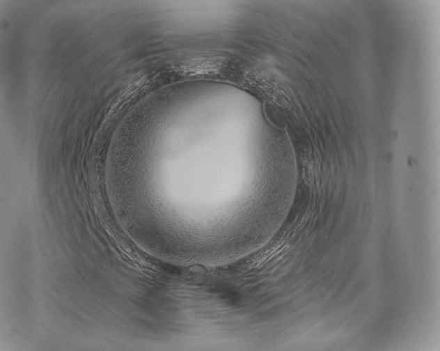 X0000073901393200608111118