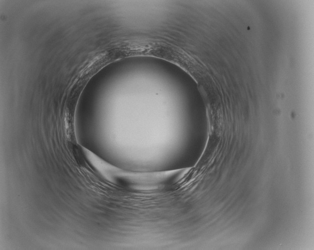 X0000073901394200608111118