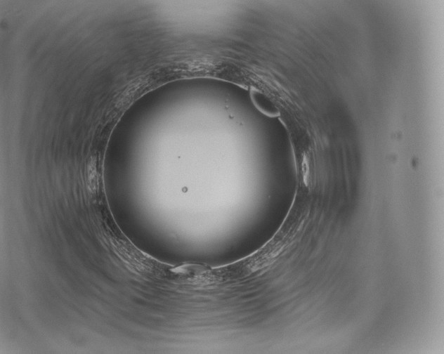 X0000073901395200608111118