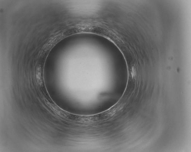 X0000073901396200608111118