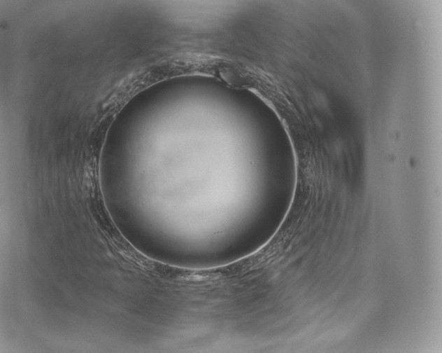 X0000073901397200608111118