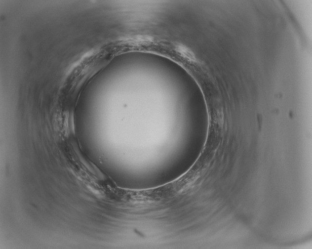 X0000073901398200608111118