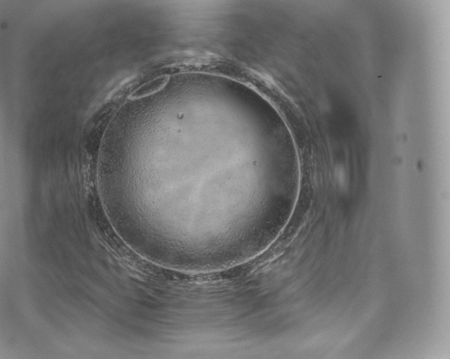 X0000073901399200608111118