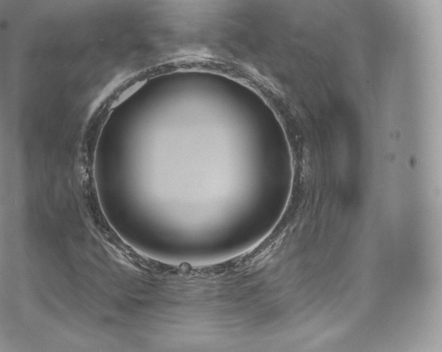 X0000073901400200608111118