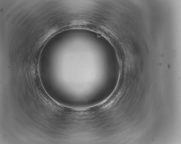 X0000073901401200608111118