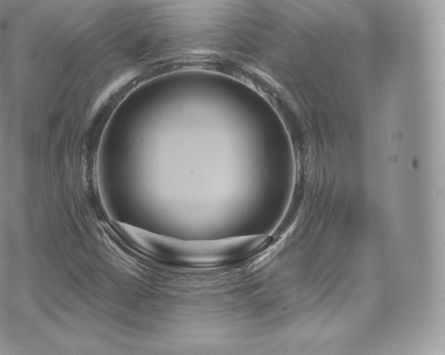 X0000073901402200608111118