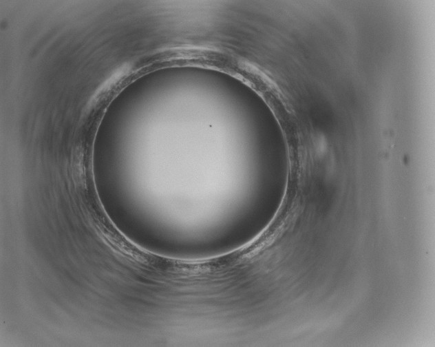 X0000073901403200608111118