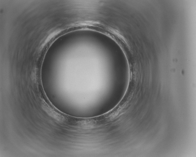 X0000073901404200608111118