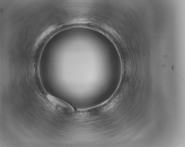 X0000073901406200608111118