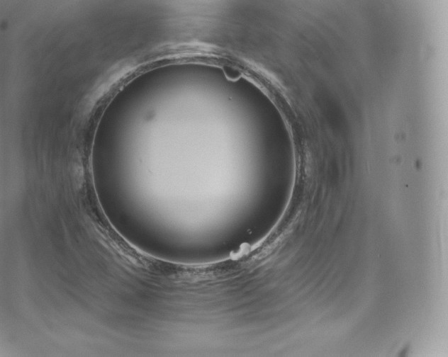 X0000073901407200608111118