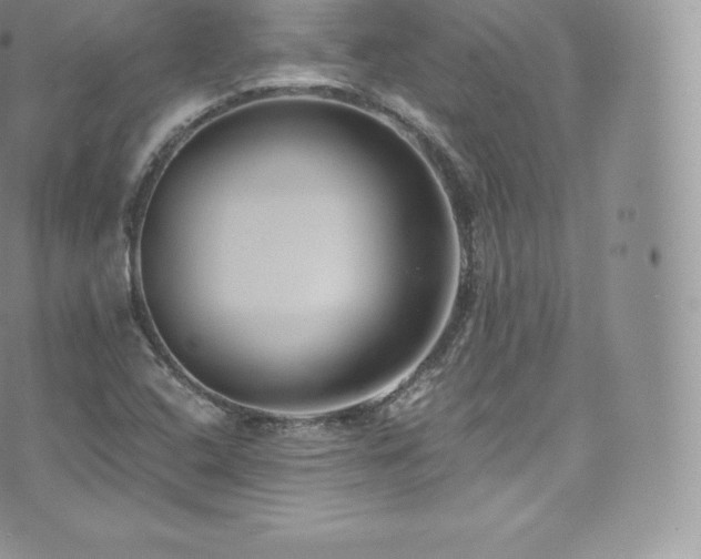 X0000073901408200608111118