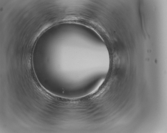 X0000073901409200608111118