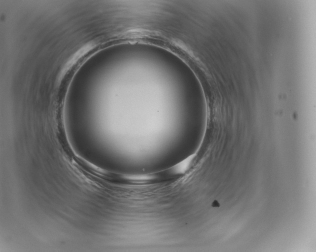 X0000073901410200608111118