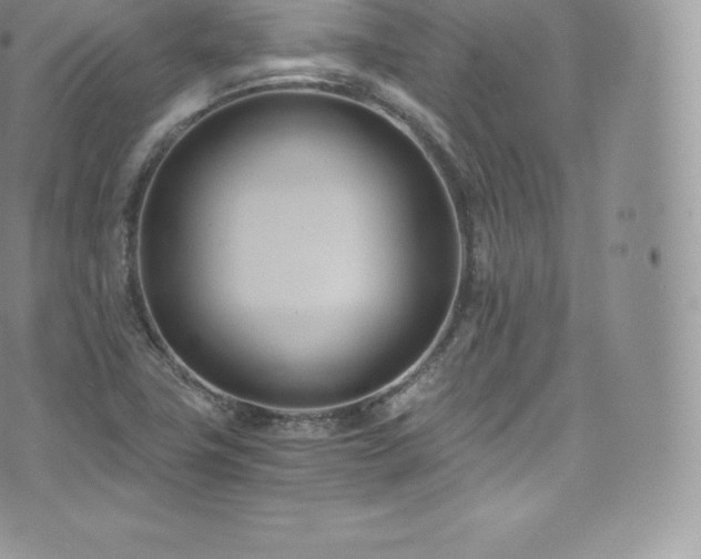 X0000073901411200608111118