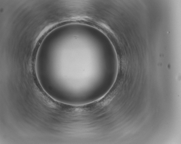 X0000073901412200608111118