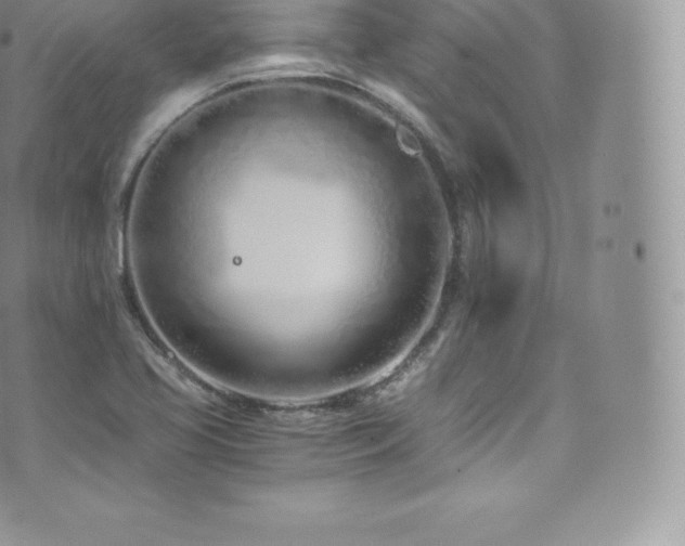 X0000073901413200608111118