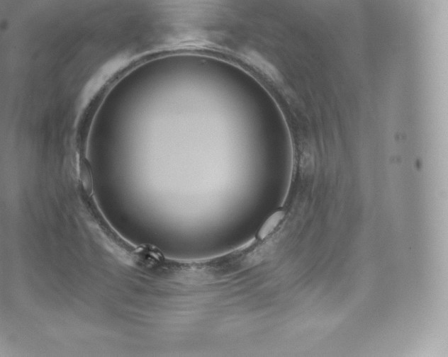 X0000073901414200608111118