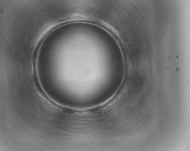 X0000073901415200608111119