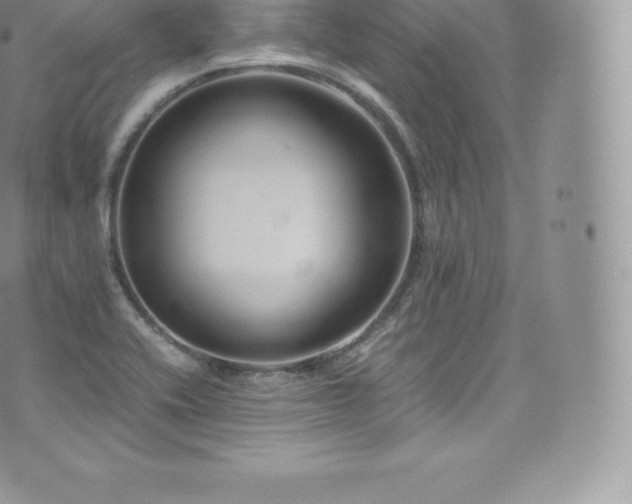 X0000073901416200608111119