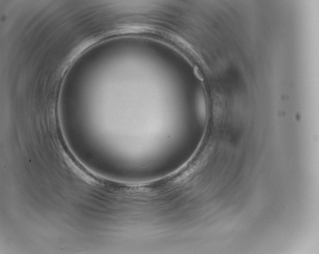 X0000073901417200608111119