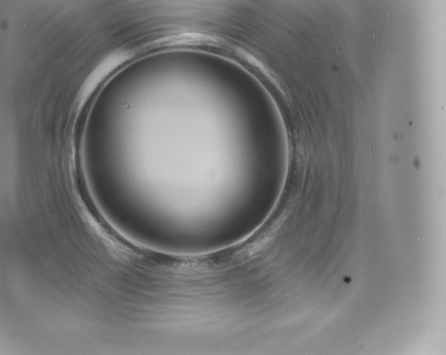 X0000073901418200608111119